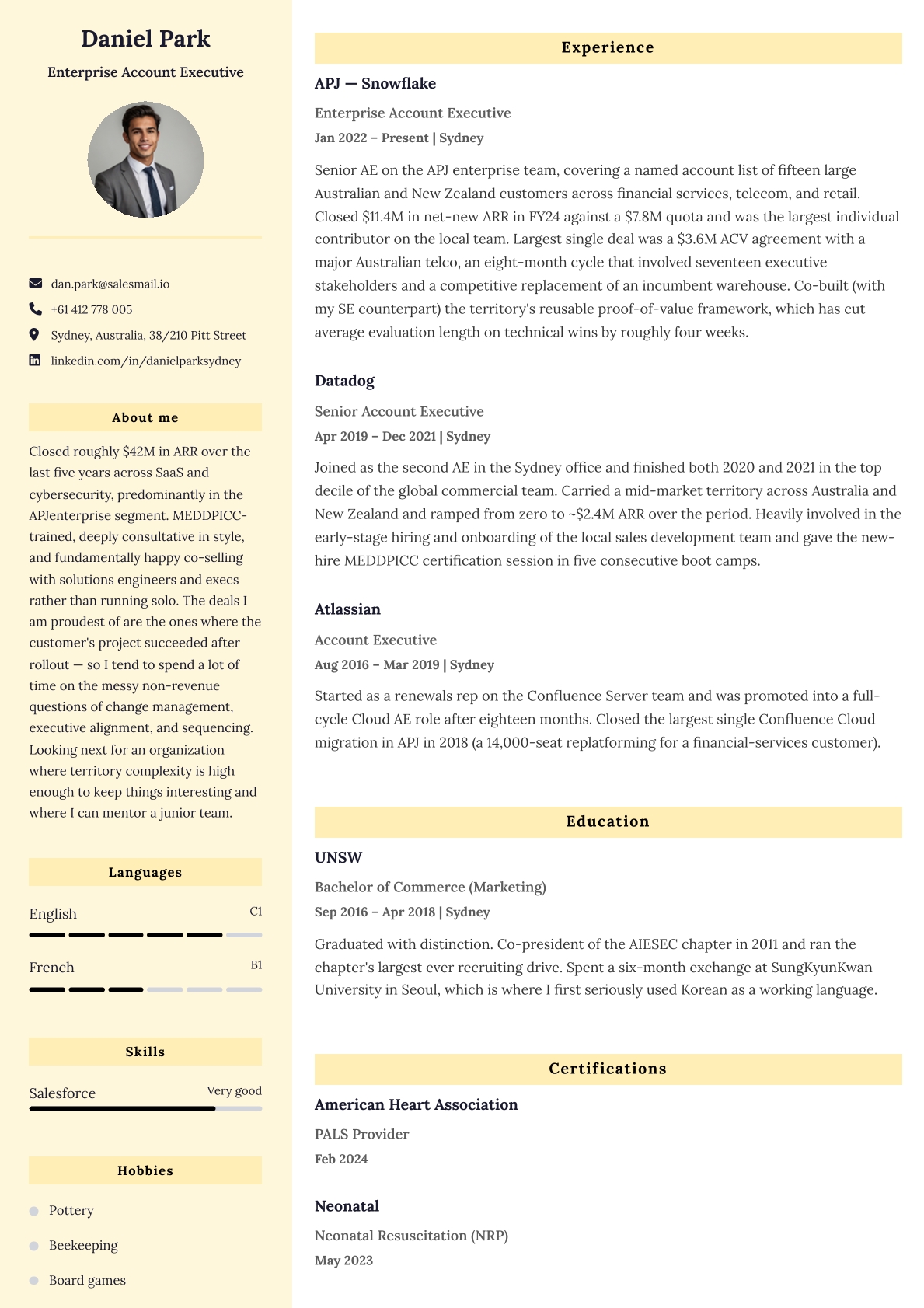 Elegant CV template preview